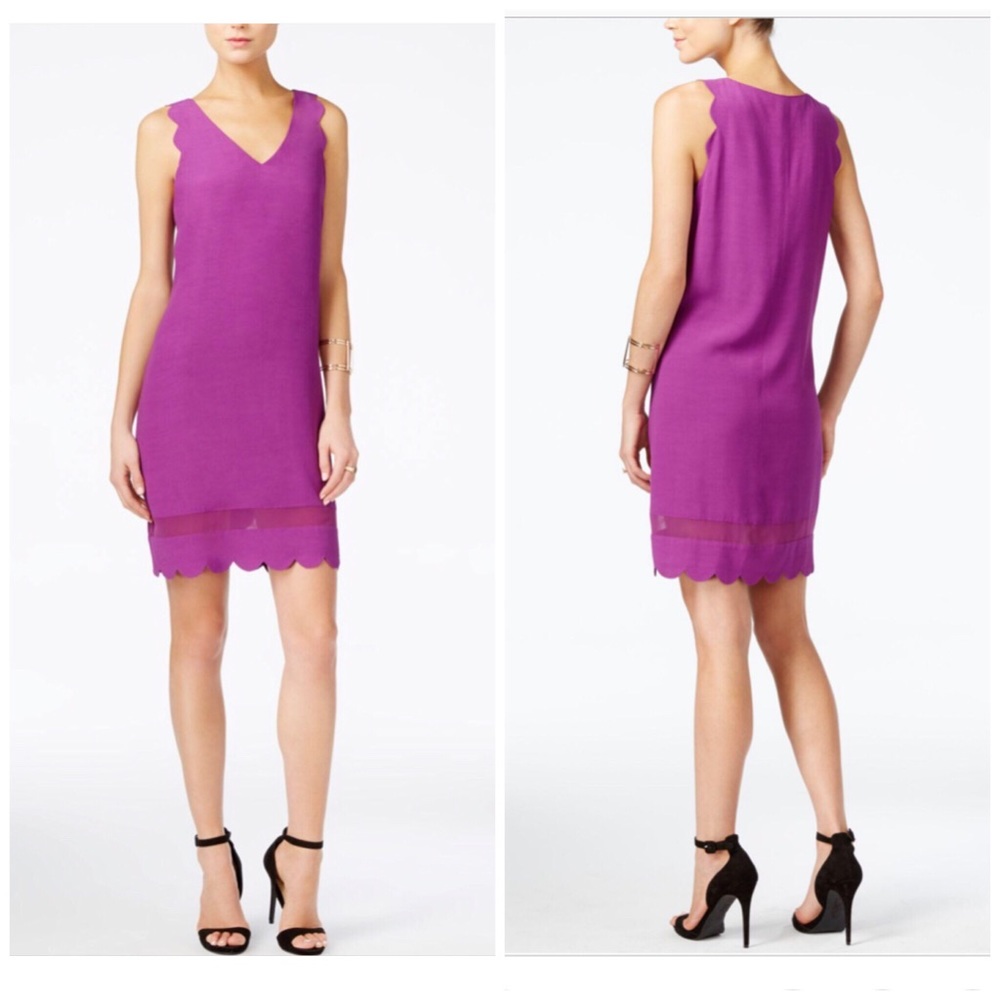 A/X ARMAMI EXCHANGE SCALLOP SHEER STRIPE DRESS
